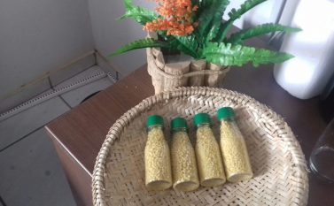 Produtores de farinha de Parauapebas pedem apoio para consolidação do setor