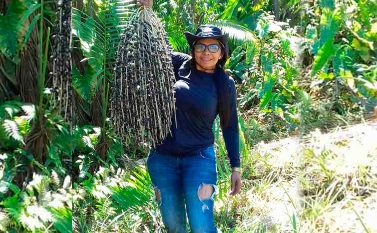 Empreendedora rural de Parauapebas investe e acredita na produção de açaí