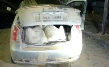PRF encontra dois bezerros dentro de um Fiat Pálio em Marabá