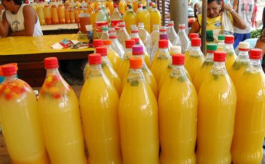 Pesquisa da Embrapa-PA estabelece protocolo de segurança para a fabricação de tucupi