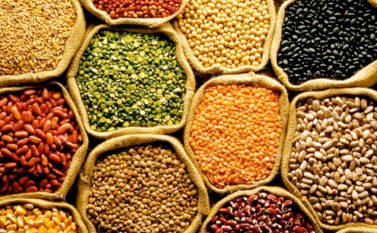 Alimentos biofortificados são plantados em área piloto em Marabá