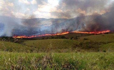 ICMBio estima que incêndios no Parque Nacional dos Campos Ferruginosos já atingiram 2.500 hectares