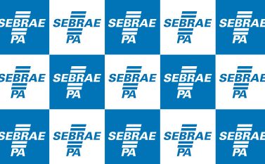 Pará: Sebrae abre inscrições para credenciamento de empresas prestadoras de serviços de consultoria e instrutoria