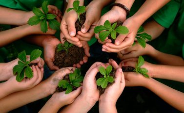 Pará com foco em Sustentabilidade