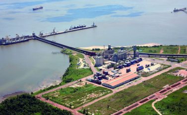 Empresa Santos Brasil vai investir R$ 37 milhões no Tecon Vila do Conde, no Pará.