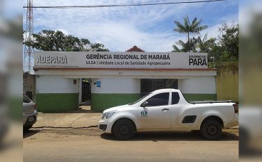 Começa hoje a segunda etapa da vacinação contra febre aftosa