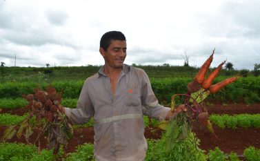 Governo de Curionópolis incentiva a agricultura familiar