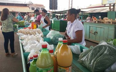 Jacundá: Feira do Produtor luta pela sobrevivência