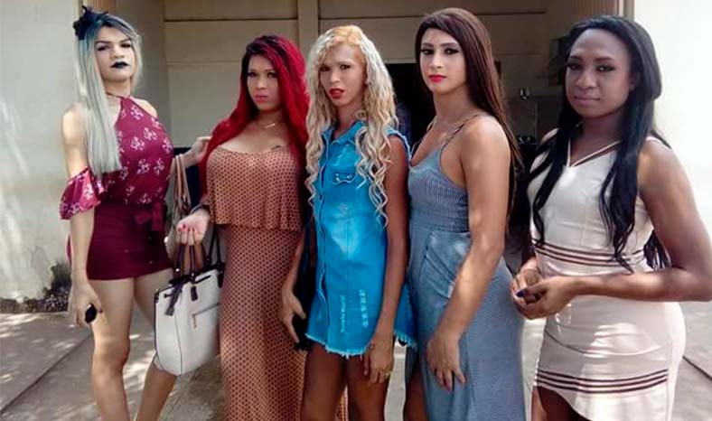 Resultado de imagem para Travestis