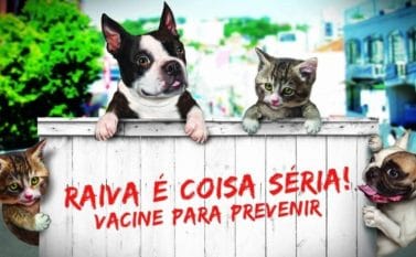 Dia “D” da campanha de vacinação antirrábica animal será neste sábado