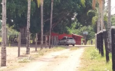 Duplo homicídio em chácara com 100 galos de rinha em Redenção