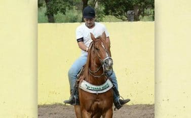 Triplo homicídio impõe clima de velório ao final de cavalgada em Novo Repartimento