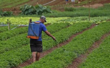 MP age para controlar uso de agrotóxico em Marabá e mais 2 municípios