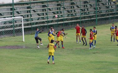 Antes de estrear no ninho, Águia treina até embaixo da chuva