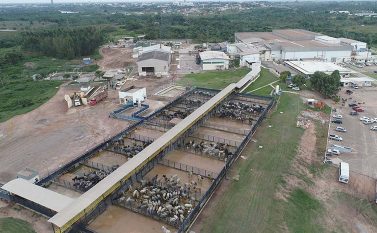JBS abre vagas para engenheiros recém-formados em Marabá e região