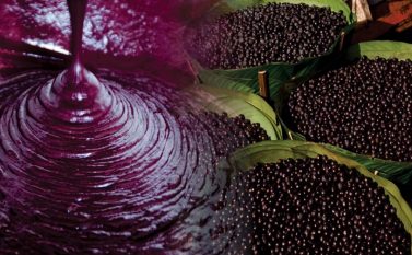 Portel é líder na expansão do agronegócio do Brasil, diz Agricultura