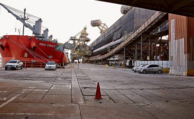 Orientais compram mais de 55% do Pará; China sozinha levou 48%