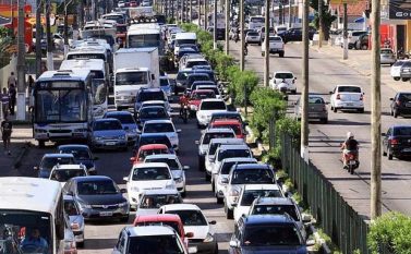 Municípios com forte tradição pecuária são os “reis das rodas” no Pará