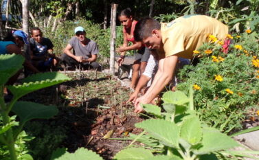 Semas apresenta projeto de atuação integrada para ações de desenvolvimento socioambiental em Parauapebas