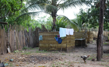 Pará tinha alguns dos piores indicadores de moradia do país no período pré-pandemia