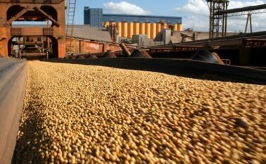 Exportações do Pará cravam 2,19 bilhões de dólares no melhor maio da história
