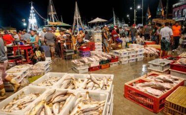 Pará passa Ceará e lidera produção nacional de pescado