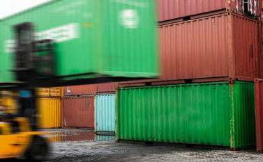 Juiz determina que Ibama conclua, em 15 dias, análises das autorizações de exportação de madeira