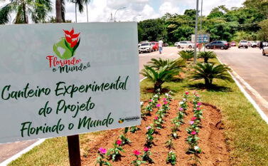 Parauapebas vai construir espaço para formar empreendedoras sustentáveis