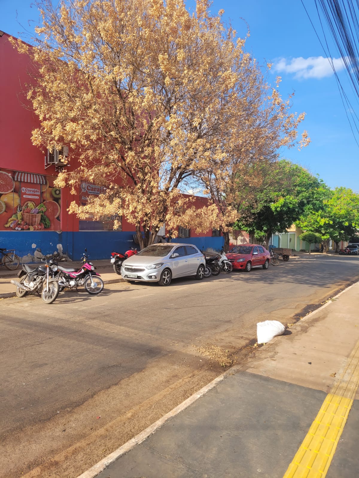 Canaã: SEMMA se manifesta sobre o andamento da apuração de crime ambiental