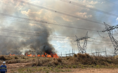 Queimadas ameaçam rede elétrica no oeste do Pará; Santarém já registra 18 ocorrências perto da fiação